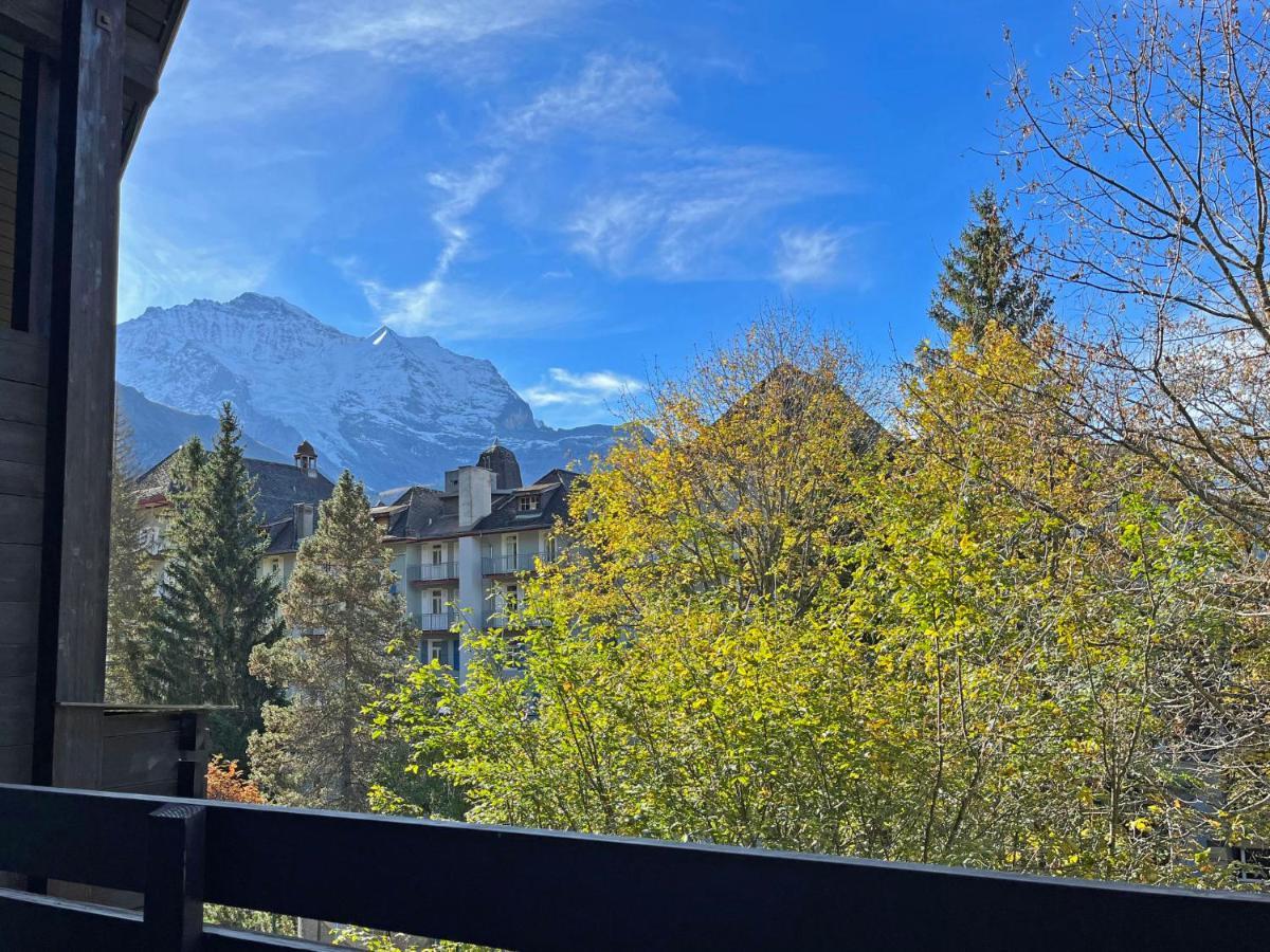 Apartment Im Gruebi-1 By Interhome Wengen Bagian luar foto