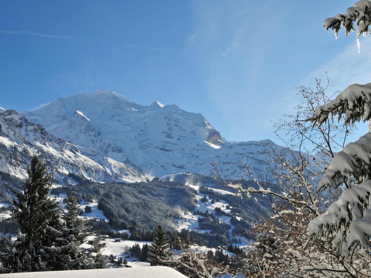 Apartment Im Gruebi-1 By Interhome Wengen Bagian luar foto